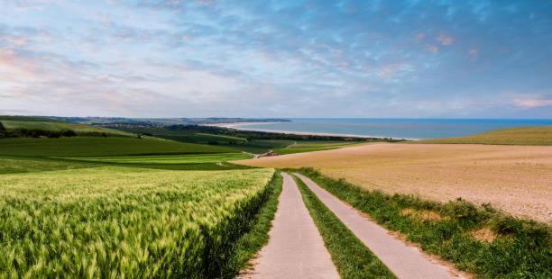 La Bull'Opale - Appartement D'Exception Avec Balneo Boulogne-sur-Mer Eksteriør bilde